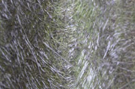 Maidenwell fibreglass roof work